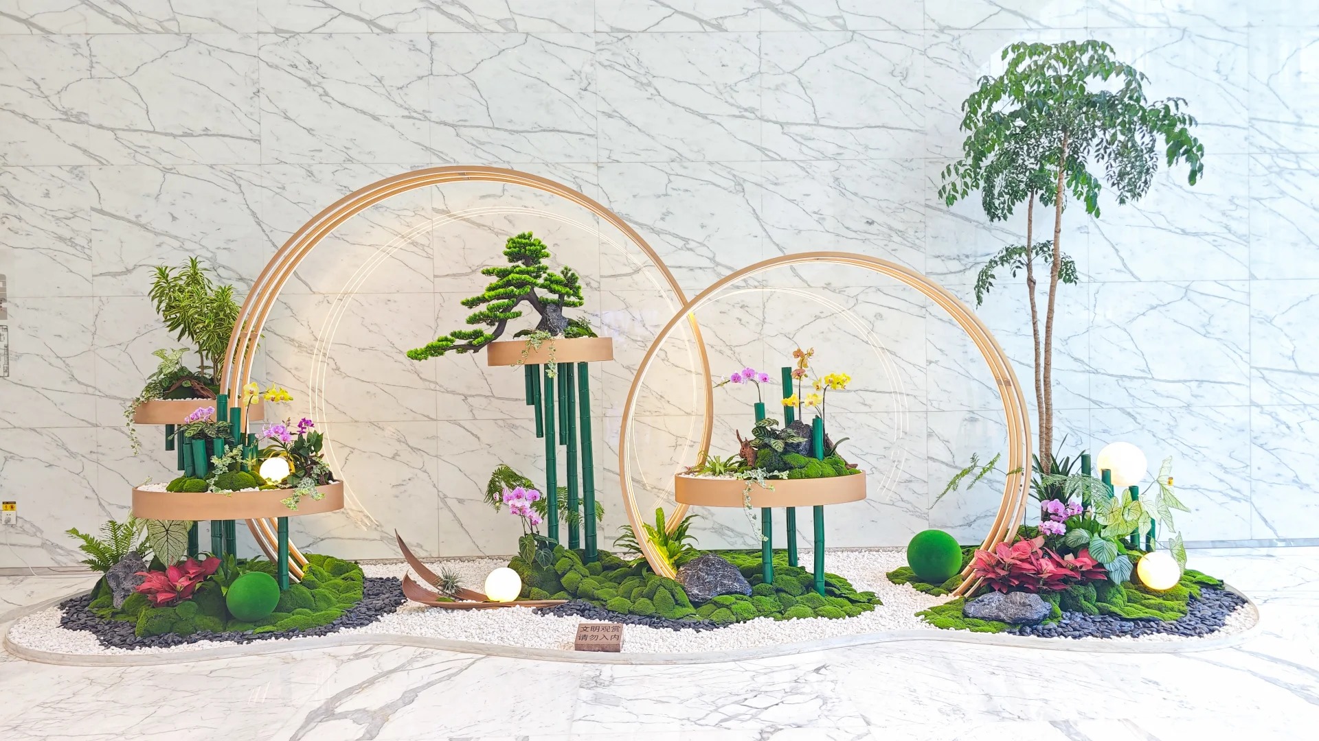 价格实惠的镇海绿植租摆，给生活增添一抹绿意！