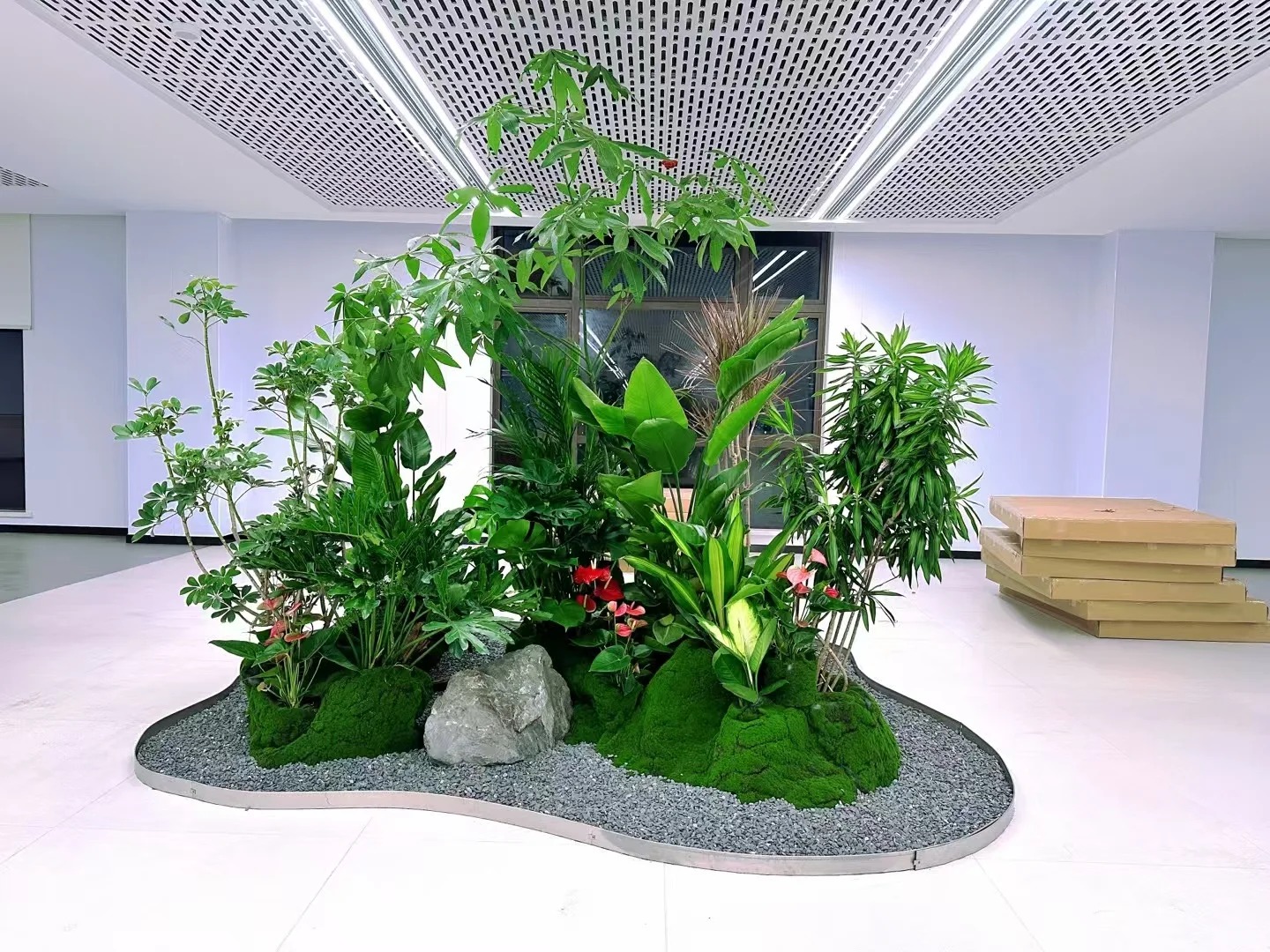 价格实惠的镇海绿植租摆，给生活增添一抹绿意！